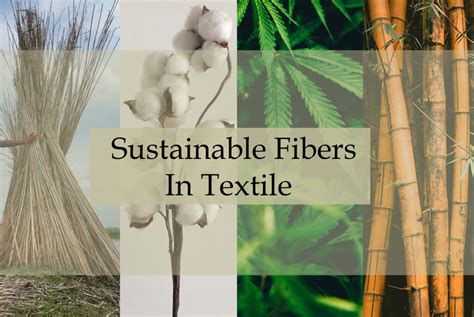  Hemp Fiber: Exploring its Potential for Sustainable Textiles and Biocomposites!