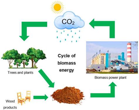  Ketohexose: 신세대 바이오 연료의 핵심 소재인가요?