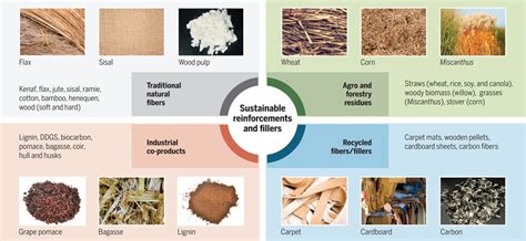 Wood Fiber Composites: 경량화와 지속가능성을 위한 혁신적인 재료!